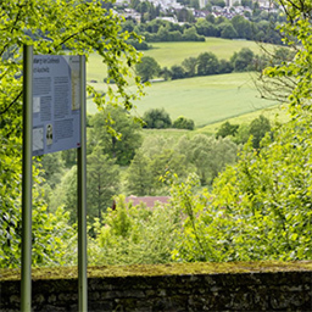 Maria-Zeitler-Pfad in Mosbach Maria-Zeitler-Pfad in Mosbach