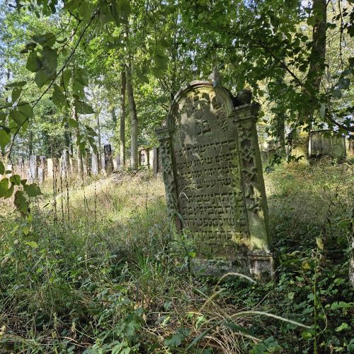 ETjK 2025 - Führung auf dem jüdischen Friedhof Bödigheim