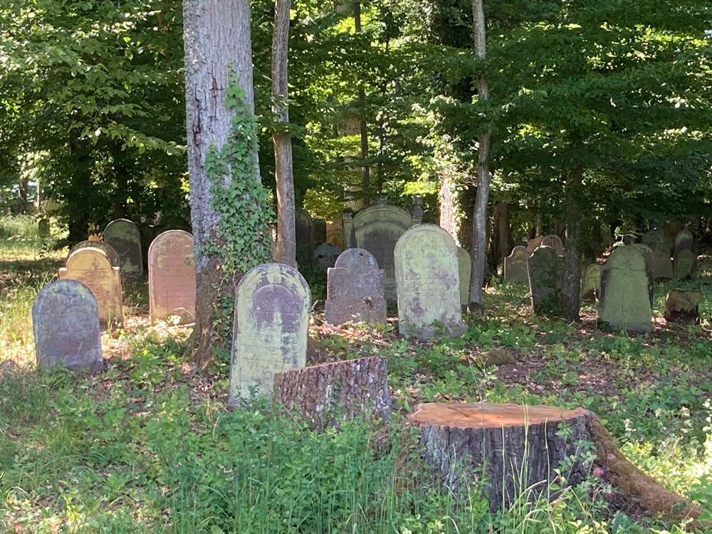 Jüdischer Friedhof Bödigheim