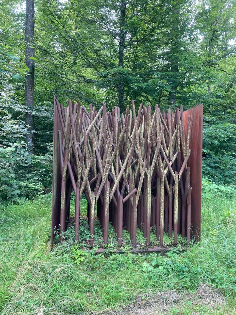 Hopfengarten am Skulpturenradweg